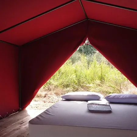 Tenda A World